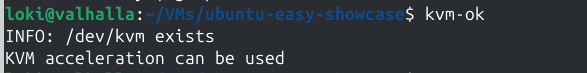 The result after running the kvm-ok command.
